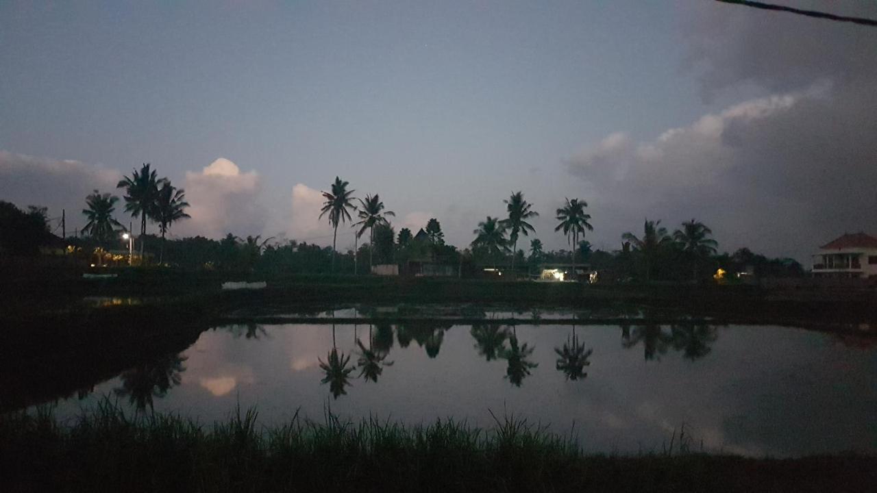 Buda Cottage Ubud Экстерьер фото
